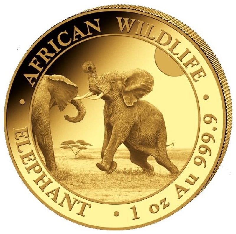 2024 African Elephant 1oz Gold Coin BullionByPost From 2 736   0b0a8d4be435ec19e1bbf4dbb321530c 